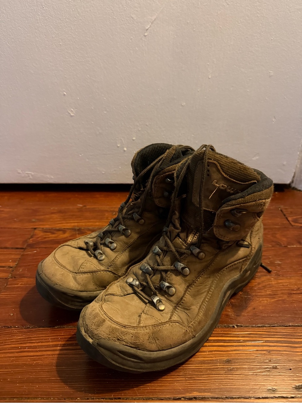 Lowa Renegade Hiking Boots